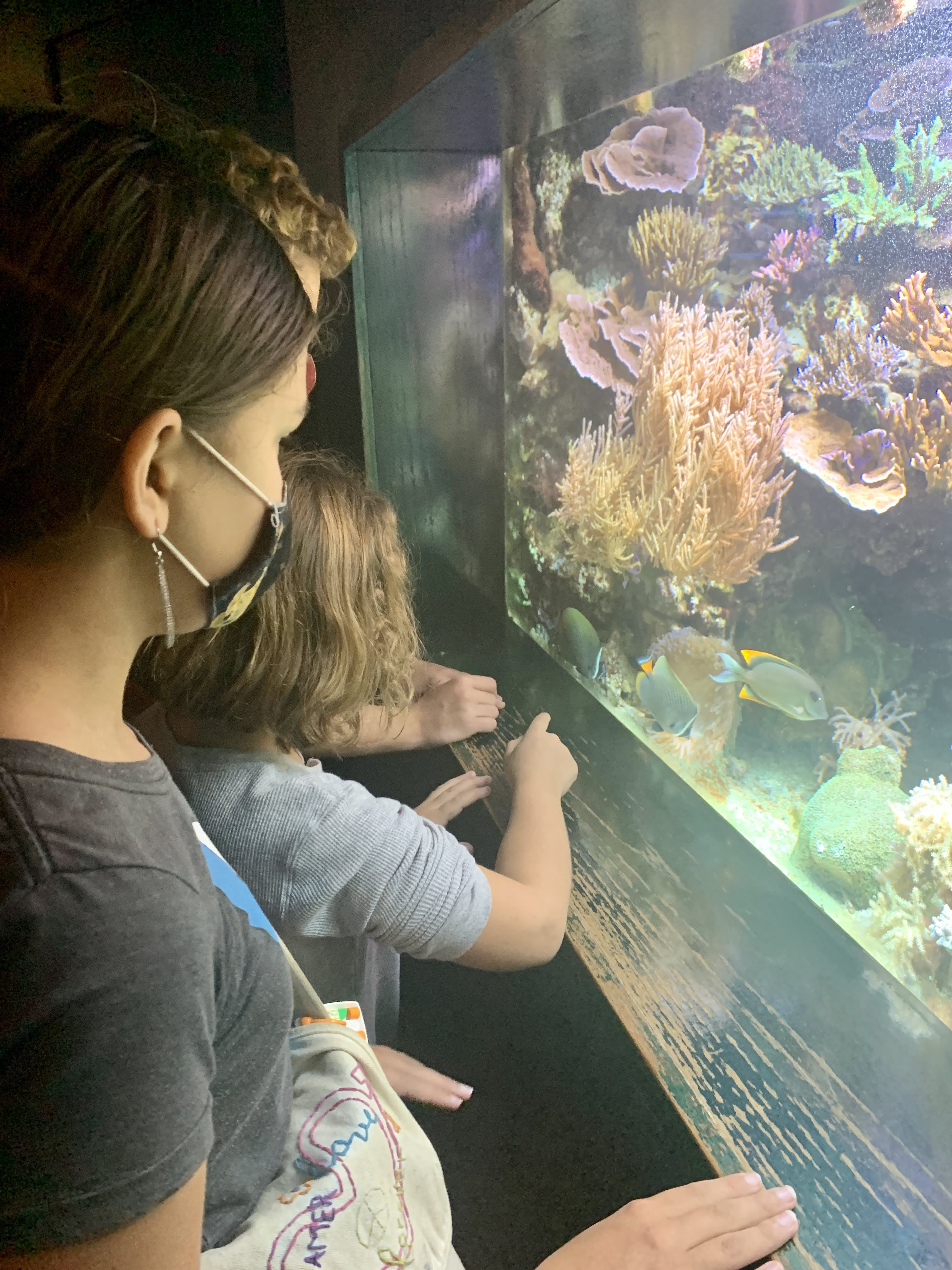 aquarium